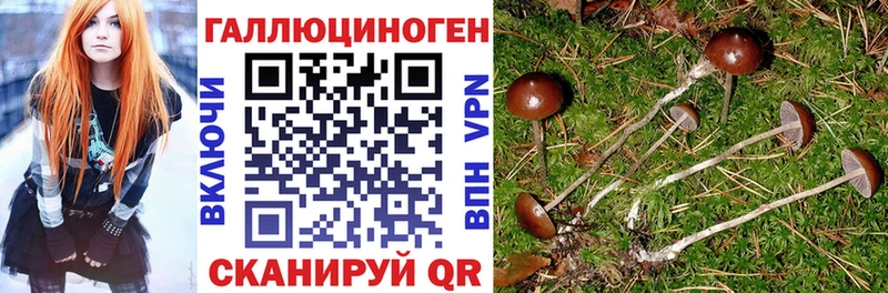 Псилоцибиновые грибы мицелий  Облучье 
